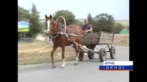 4 ноября День народного единства