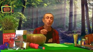 ДО ИЛИ ПОСЛЕ ЕДЫ - ПРИМЕНЯТЬ СРЕДСТВА ОТ ГЛИСТОВ! Тыква, тыквенные семечки, гвоздика, полынь, письм