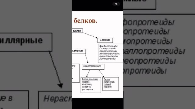 Теория щелочности. Что это такое??