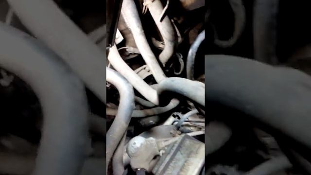 Как снять стартер на Renault kangoo 1.5dci 2006 смотреть онлайн