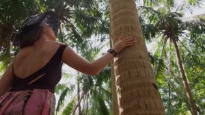 Остров Камаду, атолл Баа, Мальдивы 2023