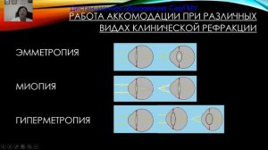 Зрительные функции, аккомодация,рефракция