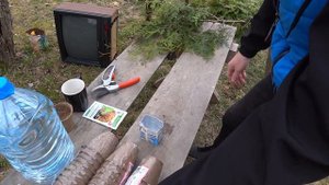 КАК ЧЕРЕНКОВАТЬ ТУЮ? ЛЕГКО!!!!РАЗМНОЖЕНИЕ ТУИ ЧЕРЕНКАМИ /// УКОРЕНЕНИЕ ХВОЙНЫХ.