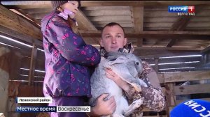 Блогер Николай Злыднев рассказывает о ярких буднях деревенского жителя