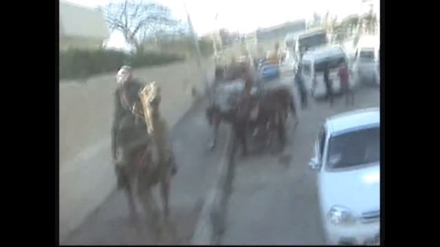 Египет. Пирамиды и рассказ гида о правилах дорожного движения. смотреть онлайн