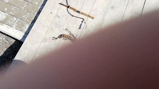 магнитная рыбалка. смотреть онлайн