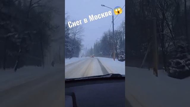 В Москве снегопад ? Сколько снега снегопад в москве