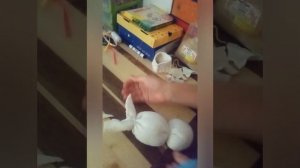 Заяц-игрушка из носка и риса