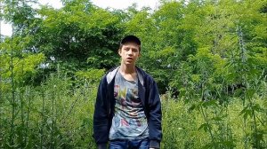 ТРАЛИКИ|МАКС КОРЖ