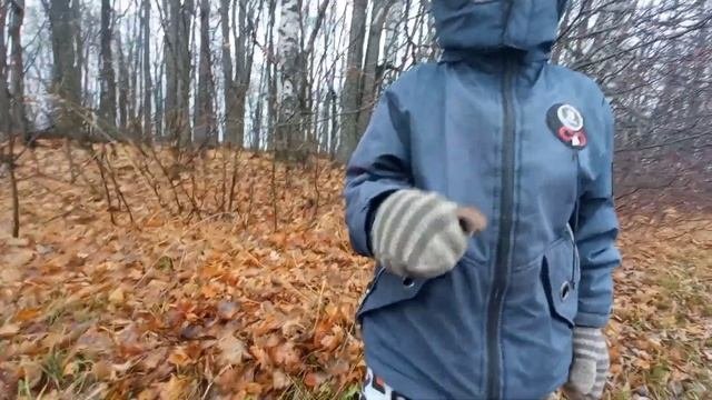 Поиск самым дешёвым металлоискателем