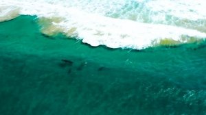 8K Videos | World 8K Video HDR Ultra HD (120 FPS) | 8K Demo