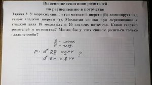 Решение задач по генетике: установление генотипов родителей по расщеплению в потомстве