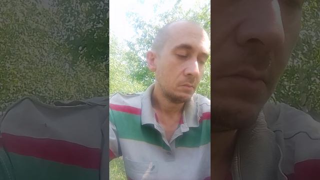 Что такое семья? #семья #8июля #деньсемьи #философия #ценности