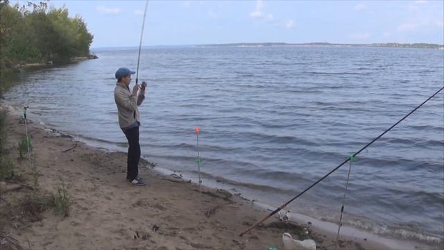 Нашествие бычков смотреть онлайн