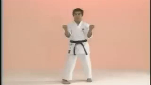 Goju-kai kata Sanchin смотреть онлайн