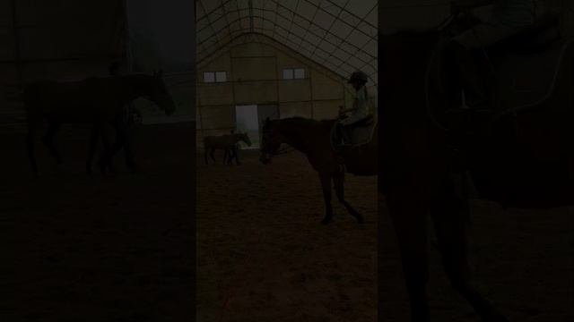 Продолжаем наши тренировки с Тасей, Машей и маленькой Настей.