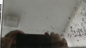 Облез экран MacBook Pro 13 2015 года часть 2