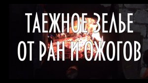 Таежное зелье от ран и ожогов, в составе смола живица