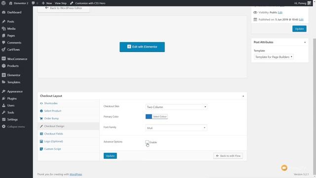 Woocommerce Checkout Page Customization with Elementor & CartFlows смотреть онлайн