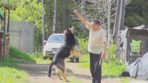 Прапорщик с Афгана