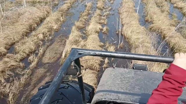 Топкое болото, вездеход Соломономобиль М5.