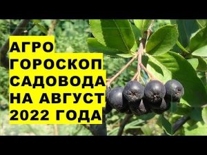 Агрогороскоп садовода на август 2022 года