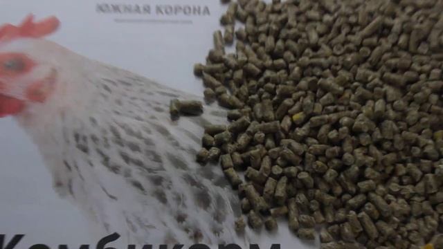 Комбикорм ЮЖНАЯ КОРОНА, для КУР-НЕСУШЕК ПК-1 / протеин 15.5