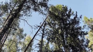 Мотопоезка на озеро Западное и озеро Поныхарь. Ивановская область. Южский район