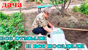 Дача.После Наводнения Ожило Все.Огород Посадили Посуду Перемыли.Июнь 2024 .Орск