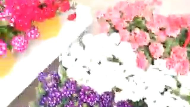 Selecta Lascar Verbena смотреть онлайн