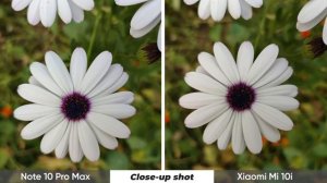 Redmi Note 10 Pro Max vs Mi 10i Camera Comparison