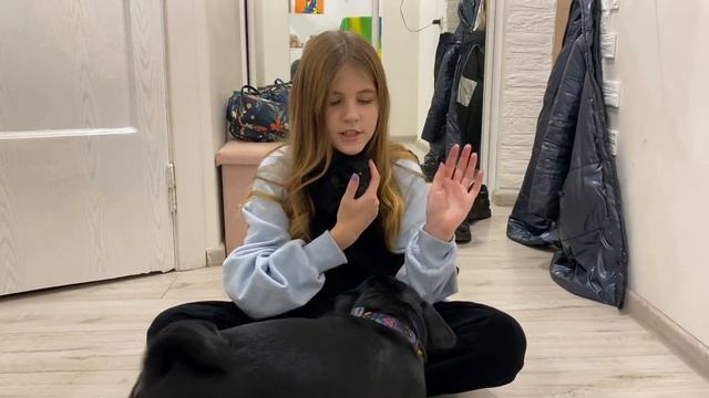 ВЛОГ Потеряли дневник / Магическая грелка и вредная Кира смотреть онлайн