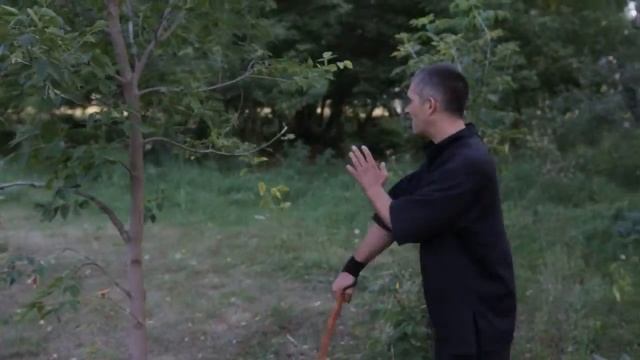 Тренировка в лесу 5. Работа с палкой смотреть онлайн