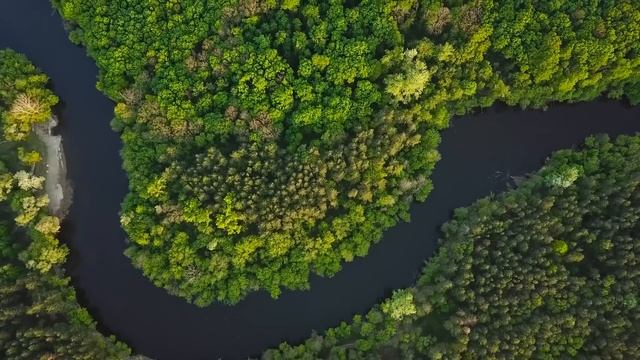 Илон Маск только что сообщил, что огромный объект длиной в километр движется через Антарктиду! смотреть онлайн