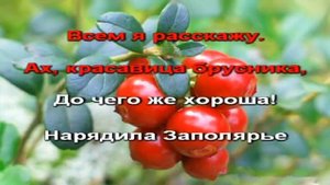 "Брусничный край" Караоке, Слова Татьяны Васенцевой Музыка Надежды Степановой