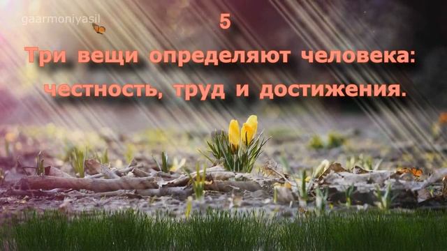 ❣❣❣ ☯7 ГЛАВНЫХ ПРИНЦИПОВ ОТ МУДРЕЦОВ☯ ❋❋❋