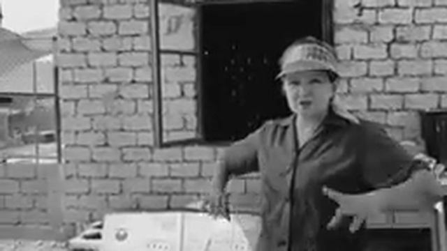 Строим приют для бездомных животных 2 . Реорганизация. Будни волонтеров. Лето - Зима 2022.  #shelte смотреть онлайн