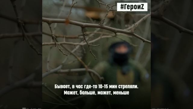 Герои спецоперации Z
