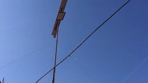 #Pigeons.Супер средства от всех болезней голубей.