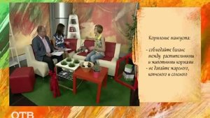 Знакомство с питомцами: мангуст Моцарт (28.09.15)