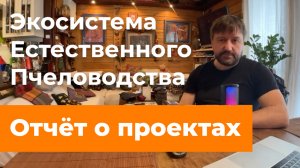 Экосистема естественного пчеловодства. Отчет о проектах 2023.