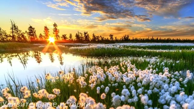 Таня застыла на месте, увидев живым бывшего жениха. Но сюрпризы для неё только начинались... смотреть онлайн