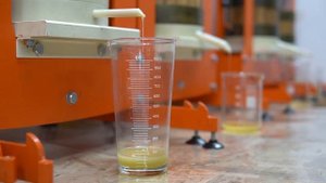 Кунжутное масло для похудения: свойства и приминение | Shanta Food