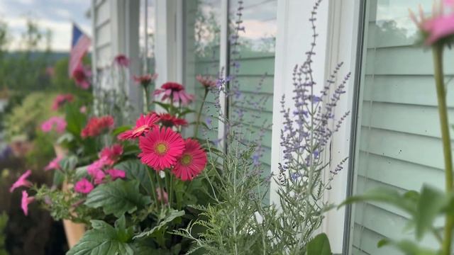 How I Planted a HUGE Cottage Style Window Box смотреть онлайн