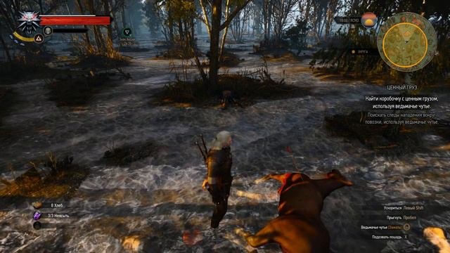 The Witcher 3 Wild Hunt Прохождение Ценный груз #3