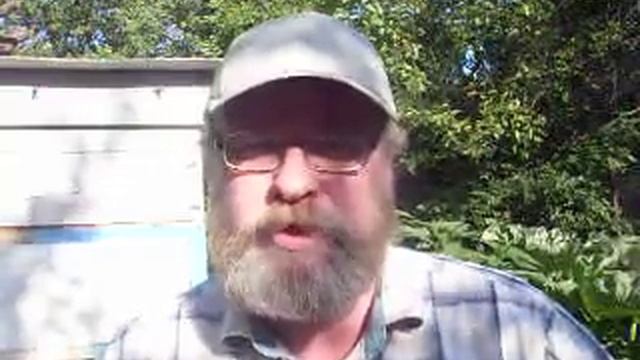 Танцы со смыслом. Поглядим? смотреть онлайн