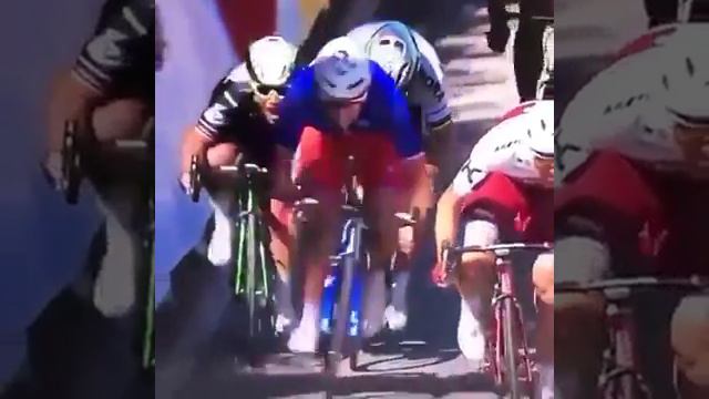 Sagan Cavendish TDF crash - reason for Elbow, Cavendish Handlebar - why Sagan picked his elbow смотреть онлайн