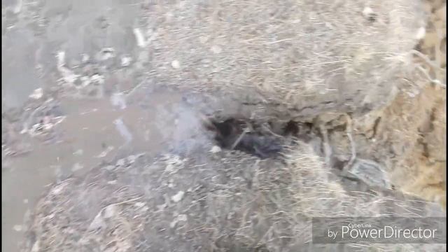 Природа родного края! смотреть онлайн