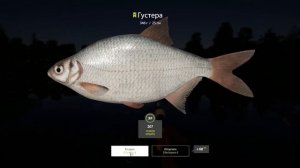 Густера на Комарином 02.07.2021! Густера! Фарм! Русская рыбалка 4! РР4! РЫБОКИТ!