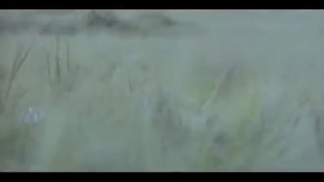 Вечная любовь (2008)  PhirKabhi смотреть онлайн